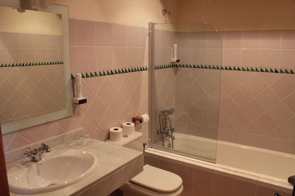 Standard Double Room Single Use | Bathroom | Combined shower/tub, hair dryer, towels, soap