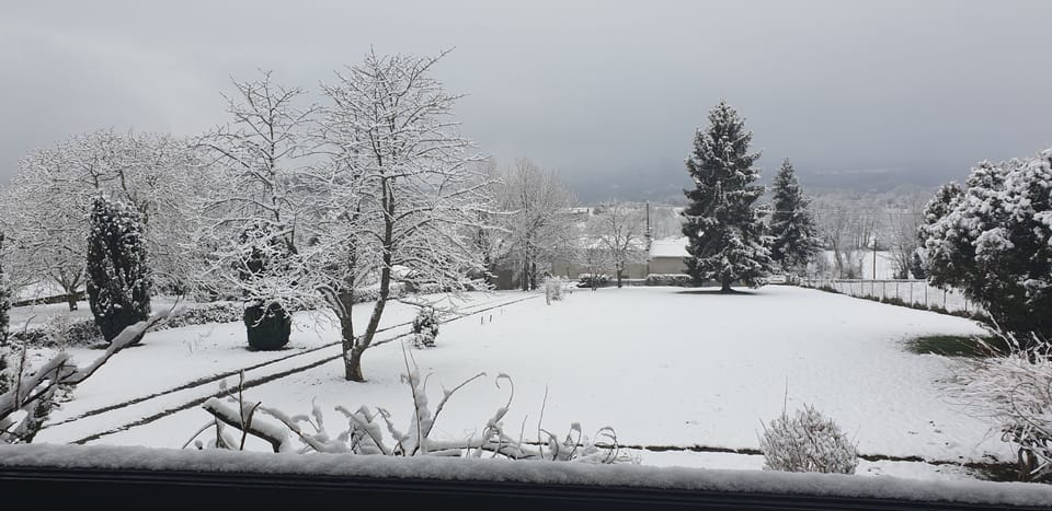 View from property