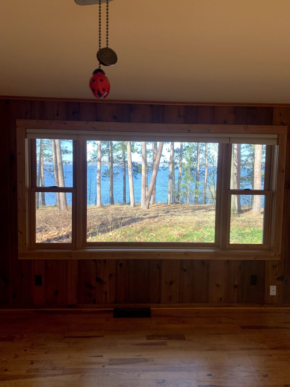 Living Room view 