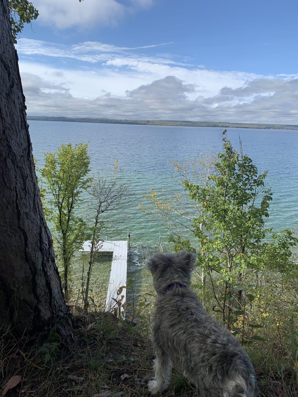Dogs are welcome! 
Dock as pictured is in from June- Sept.