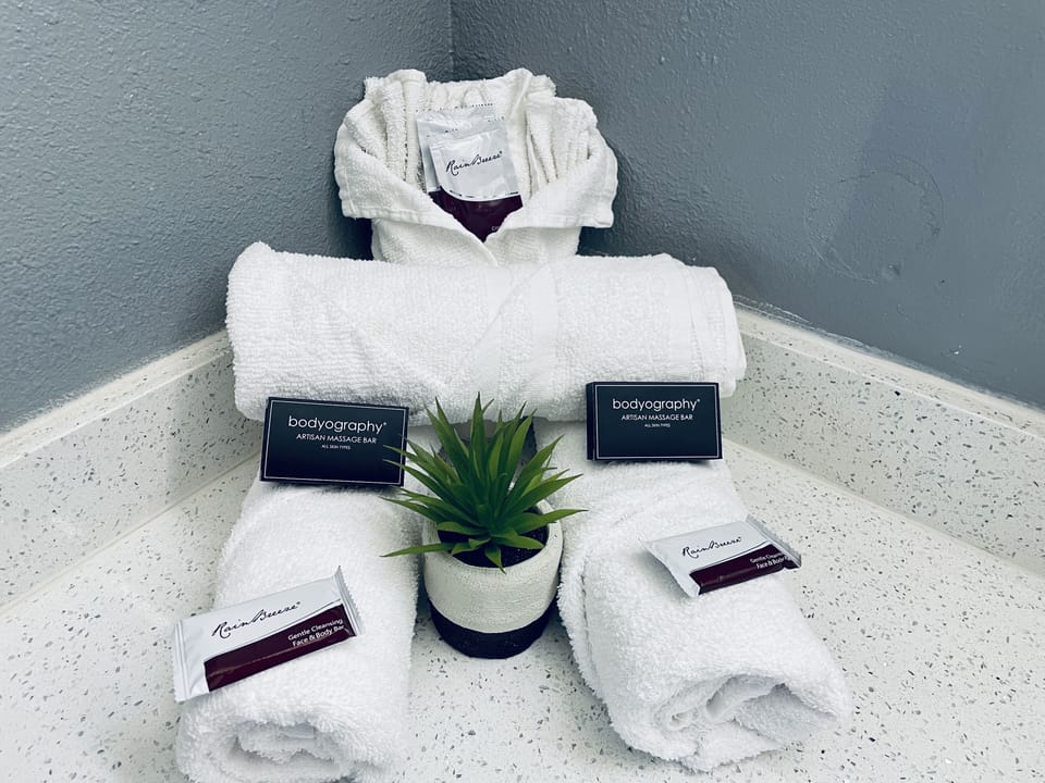 Combined shower/tub, free toiletries, hair dryer, towels