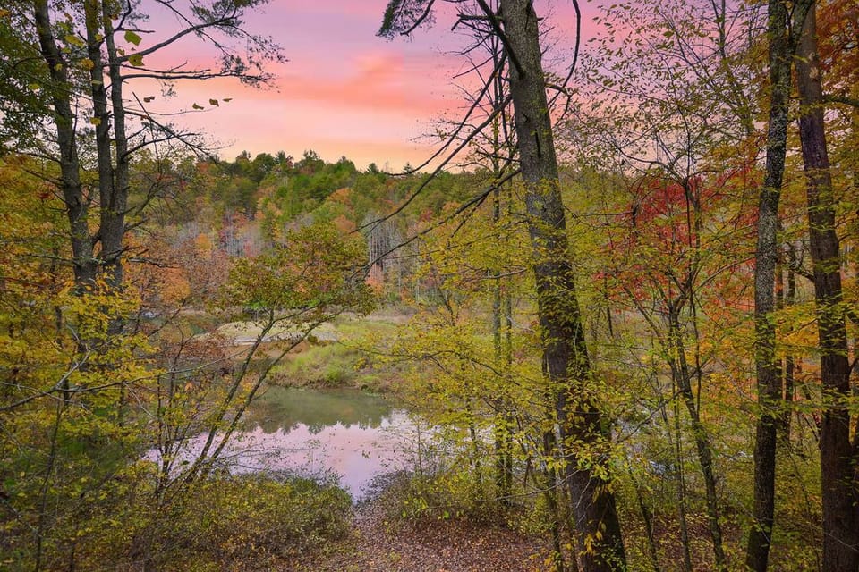 View from the Porch