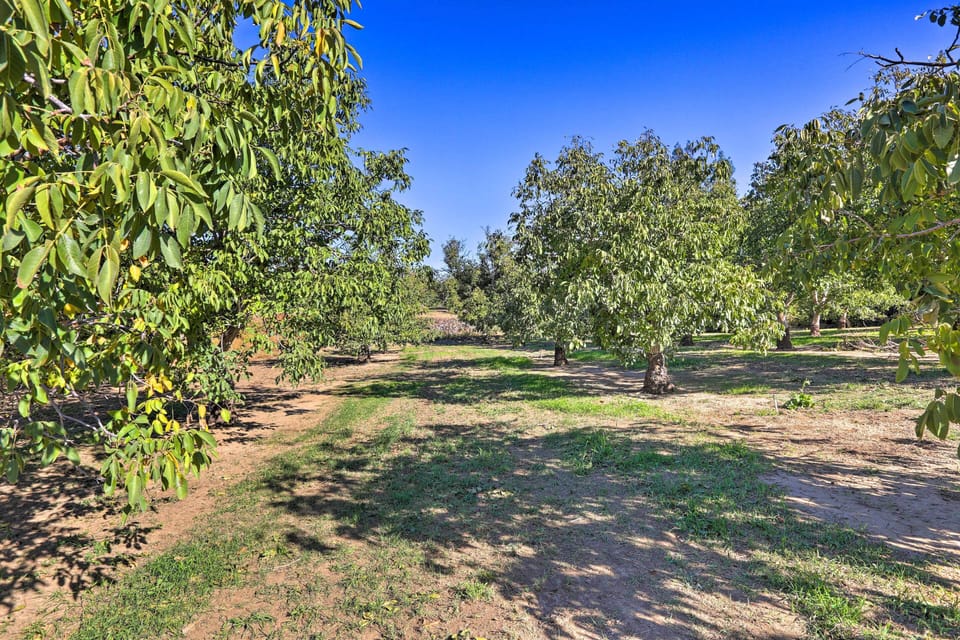 33-Acre Walnut Ranch