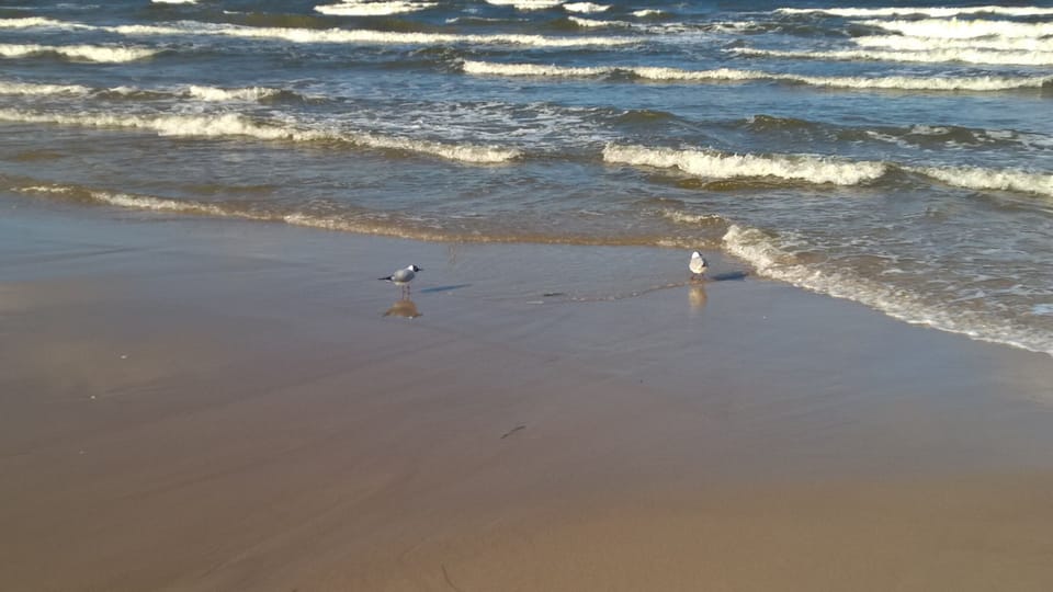 Beach