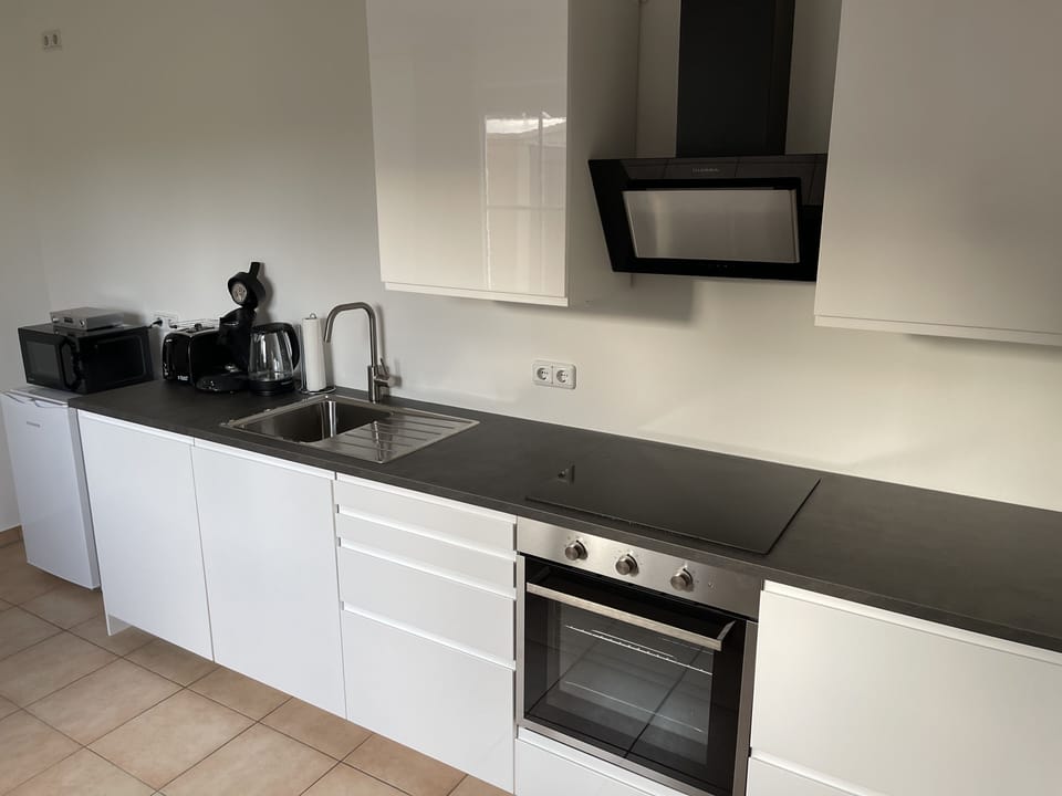 Basic Apartment | Private kitchen | Fridge, microwave, oven, stovetop
