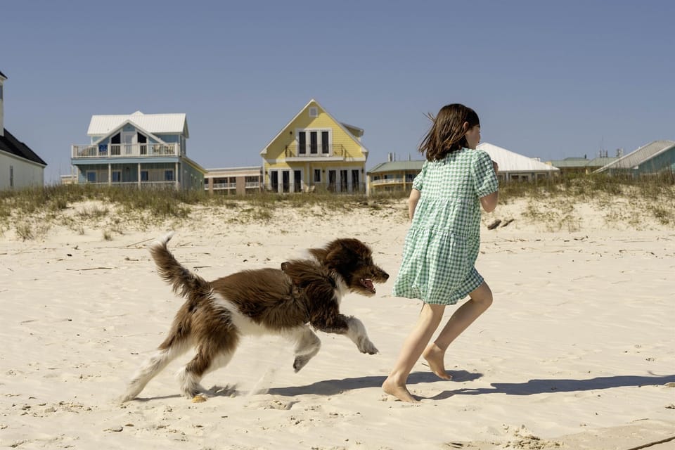 Steps to Dog Friendly Beach