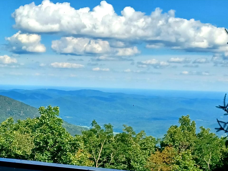 View from property