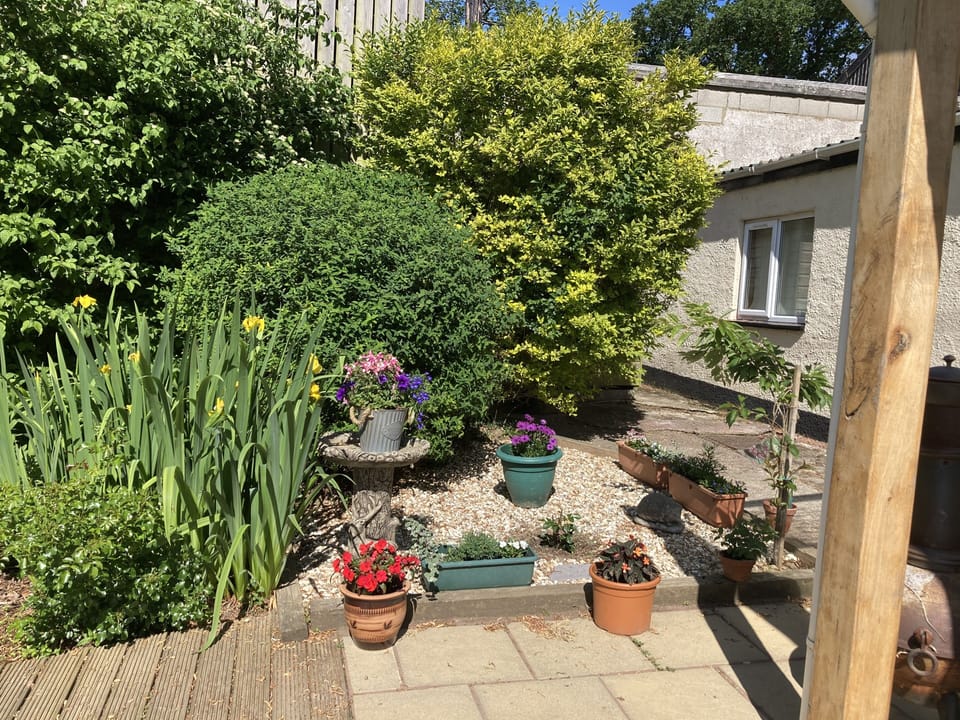 Image 14