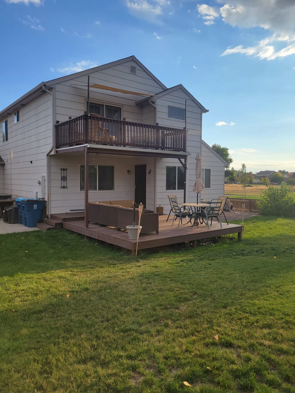 Back yard 