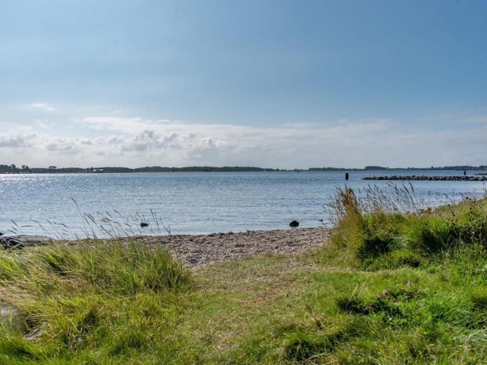 Region [summer] (>5 km)