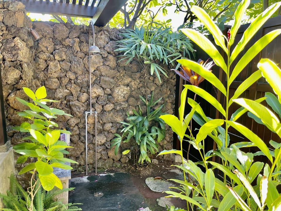 Second outdoor shower off of guest suite.