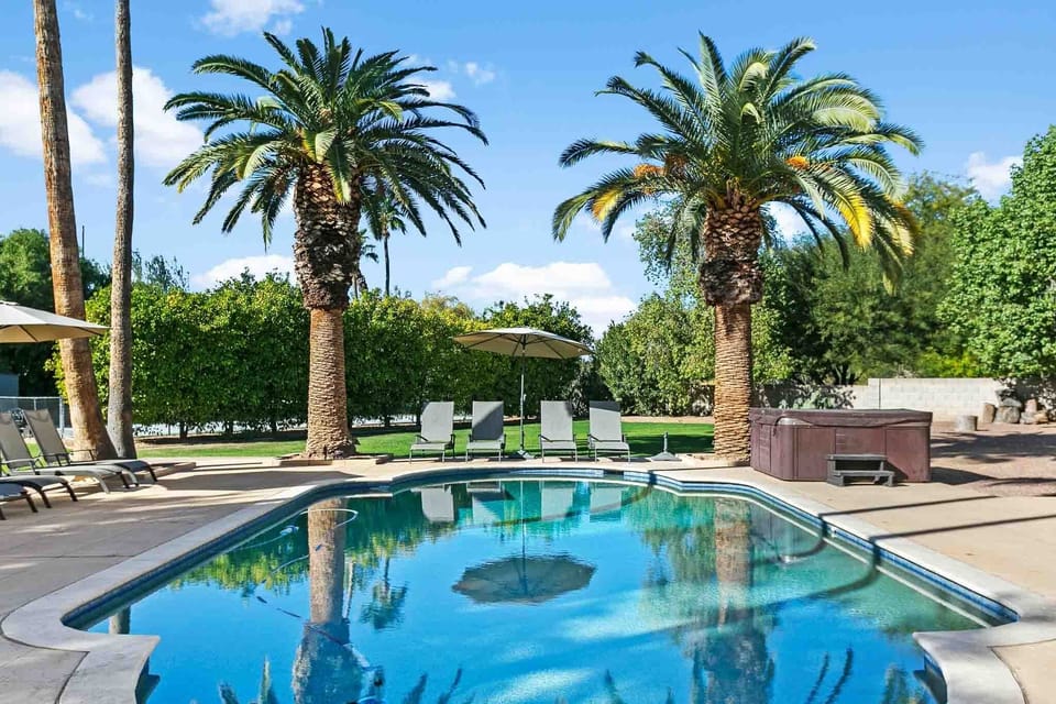 Pool, Hot tub, and loungers