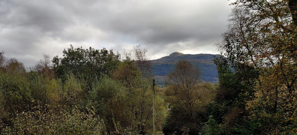 Luxury Cottage, Private Bathroom, Mountain View (Ben Lomond Cottage) | View from property
