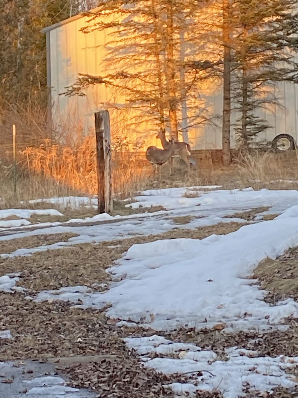 Property grounds
