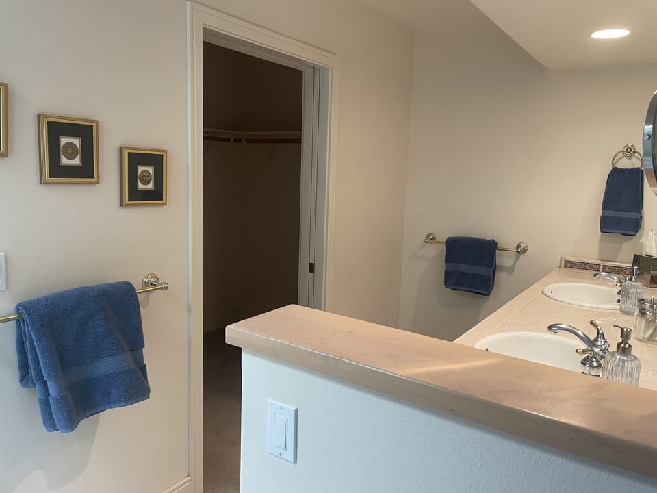 Upstairs Primary Suite walk-in Closet.
