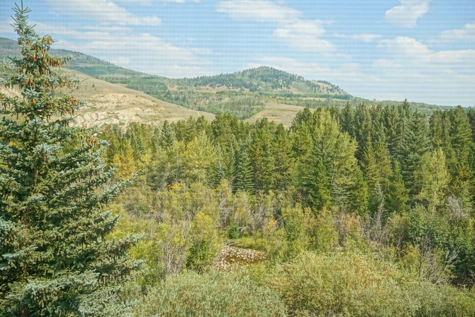 View from Bedroom 1