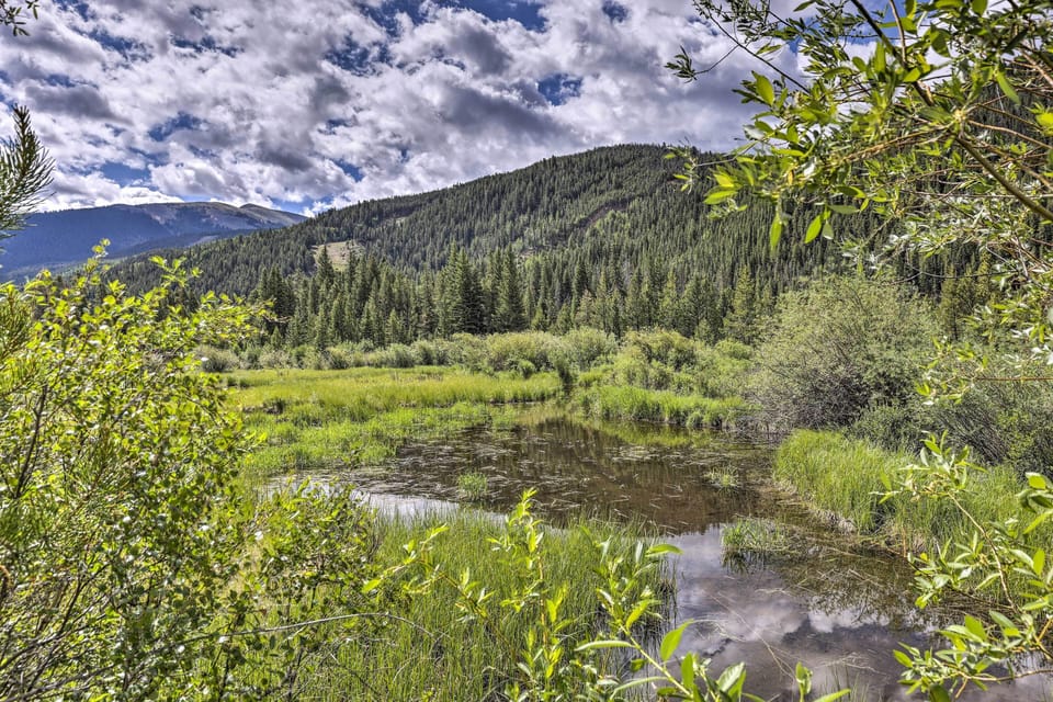 Mountain View from Property