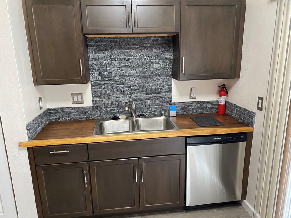 Kitchen sink and dishwasher with hardwood counter