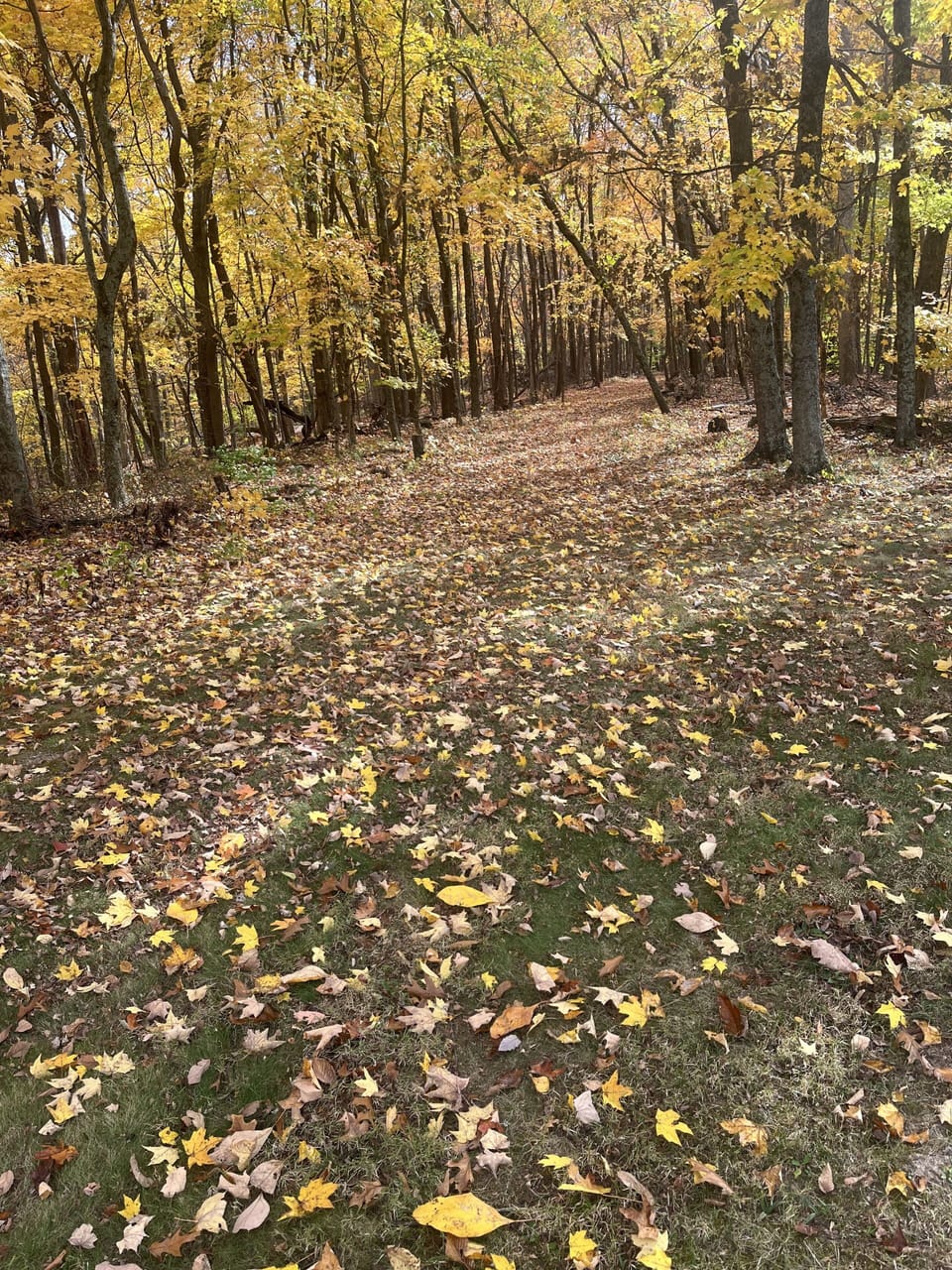 Trails for walking and sightseeing.