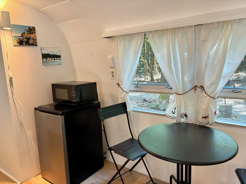 Refrigerator and microwave