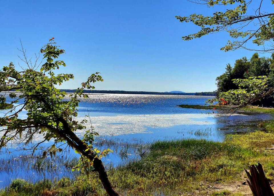 View from the lakefront with Cadillac Mountain in the distance
