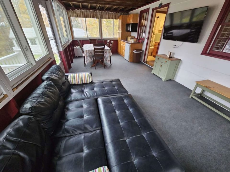 leather sectional and tv
