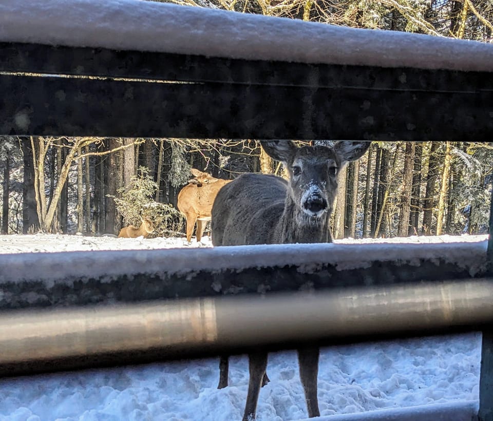 View from property