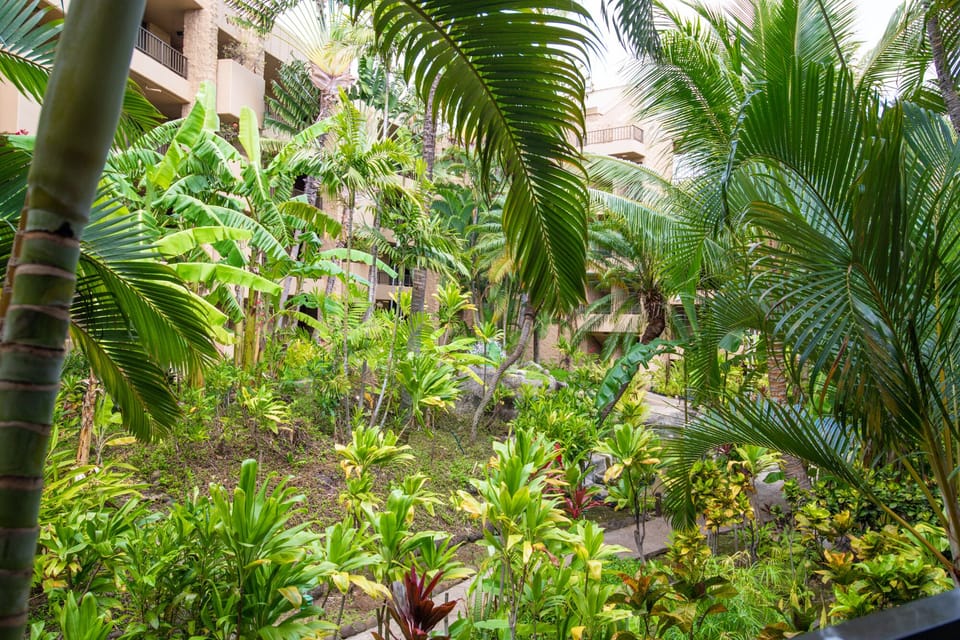 Spectacular garden view in a private, relaxing environment