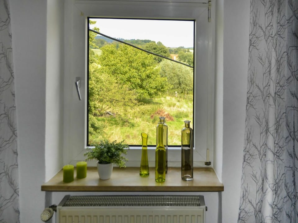 Property, Table, Window, Wood, Shade, Plant, Rectangle, Vase, Interior Design