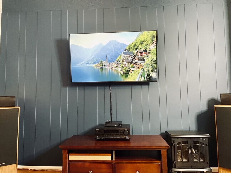 Television