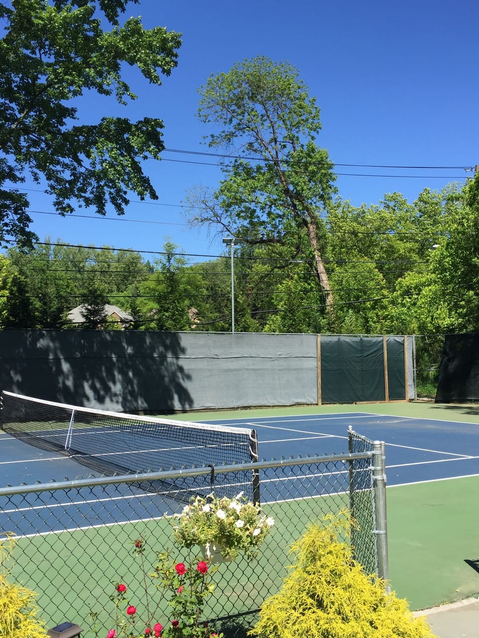 Tennis court available for Guest use.  Owner can provide racquets & balls.