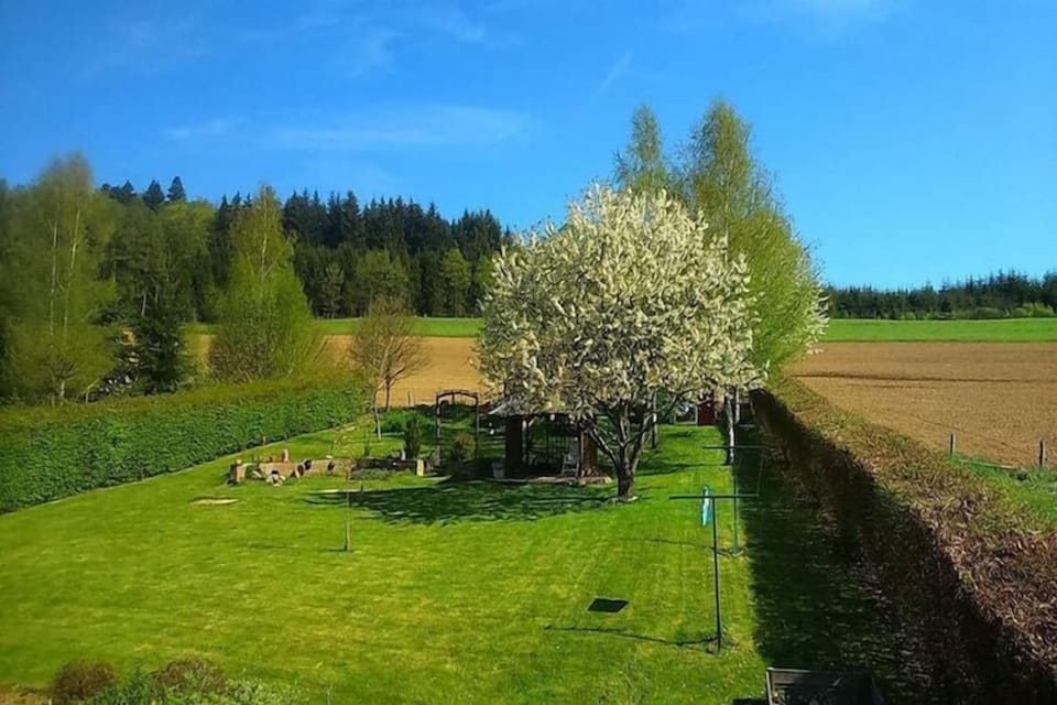 View from Holiday Home [summer]