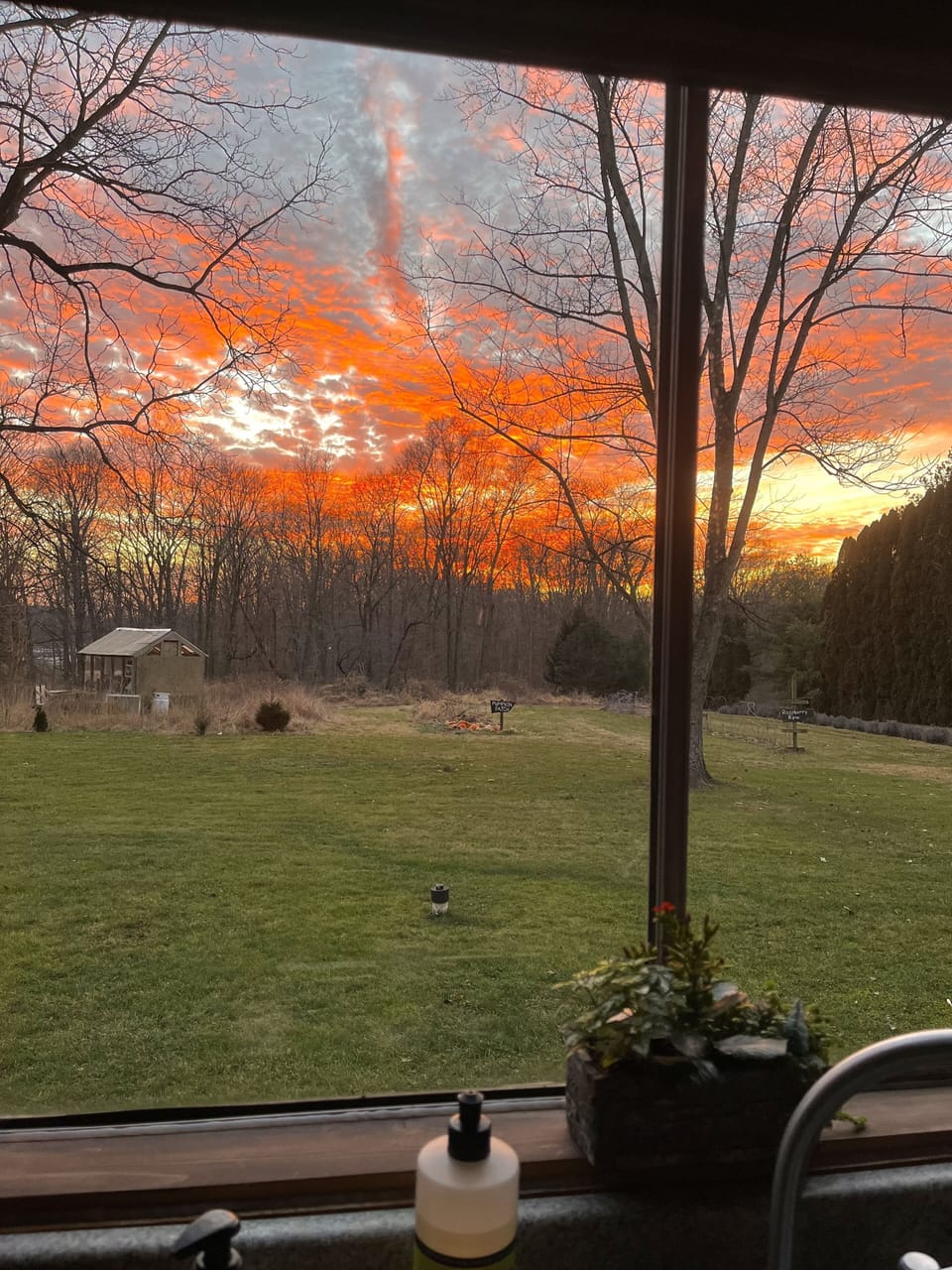 Sunset view