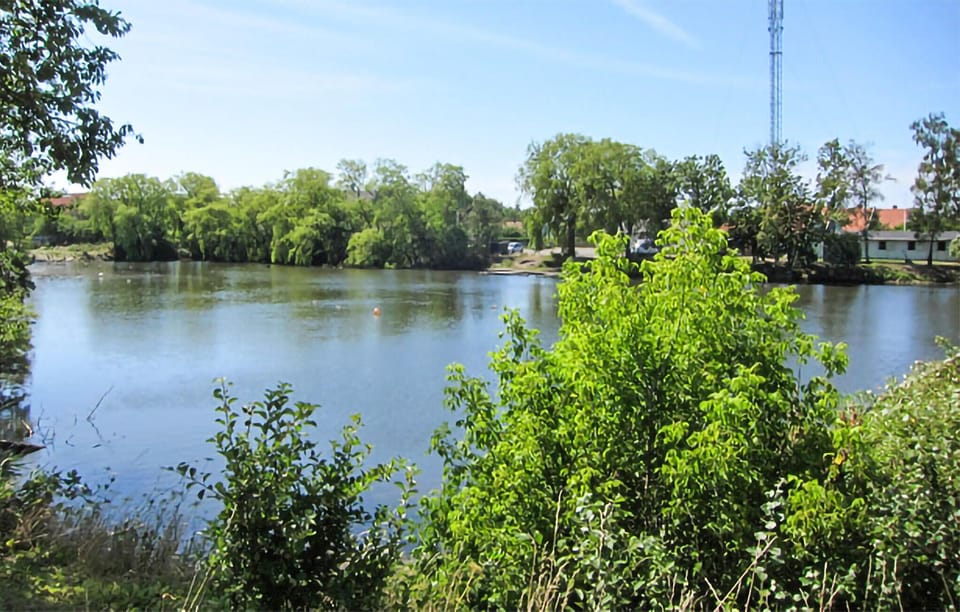 area