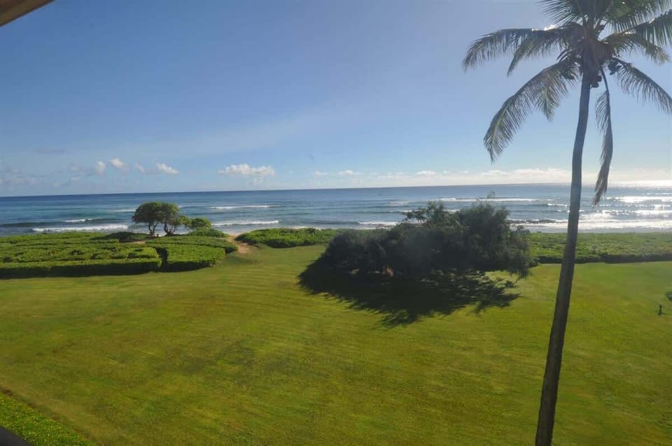 Ocean View