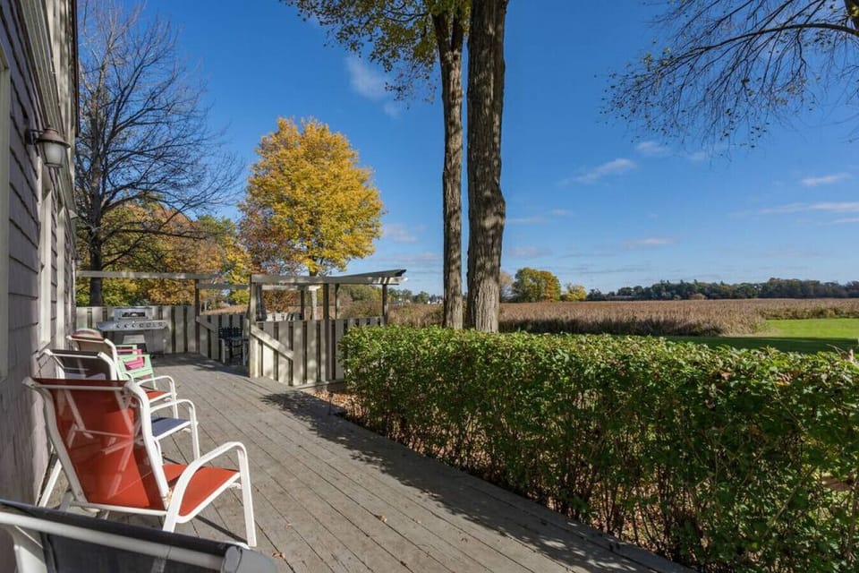Back Patio