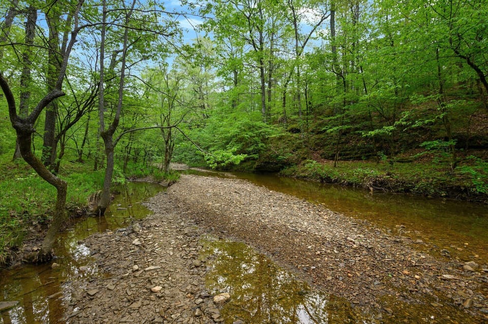 CC20202420-209121