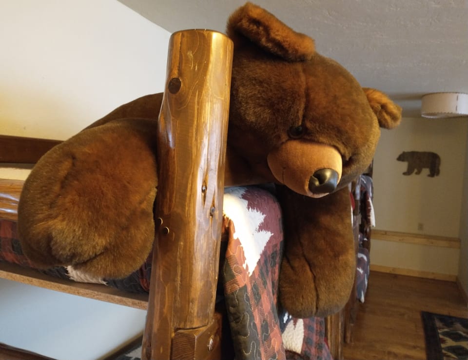The bunkroom bear