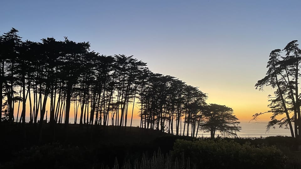 Savor your favorite zen moment .