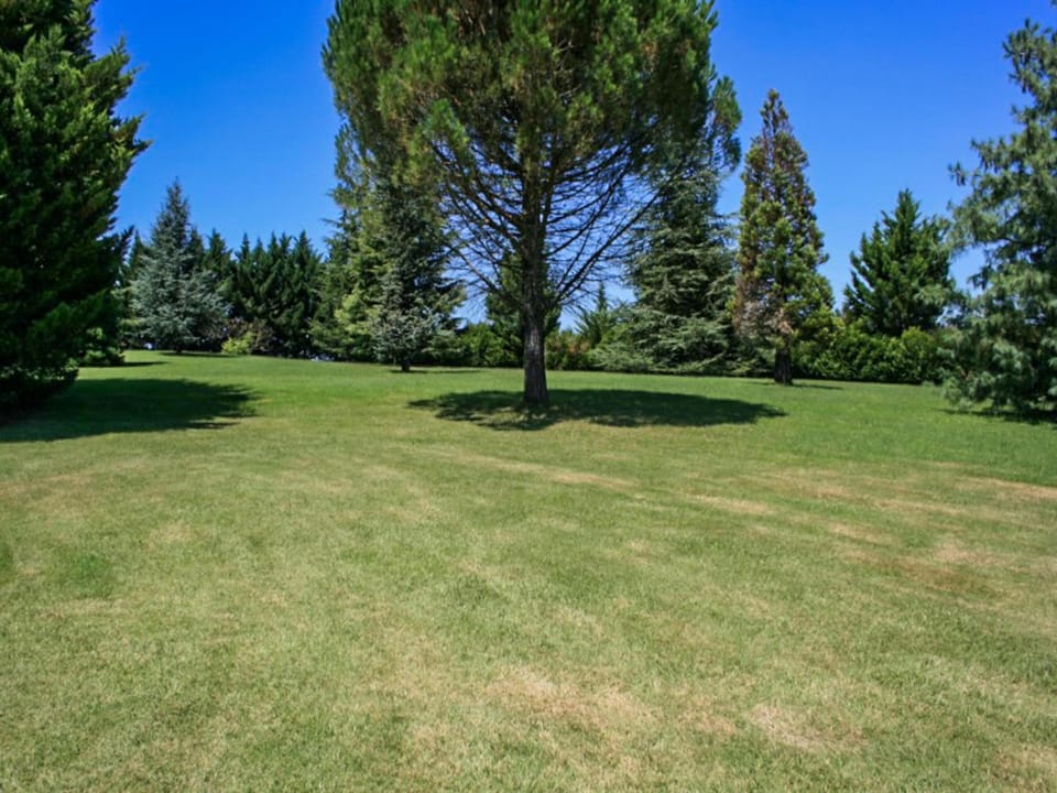 Garden [summer]