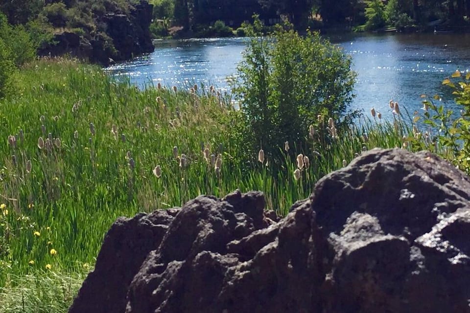 View from Deschutes River Trail near studio