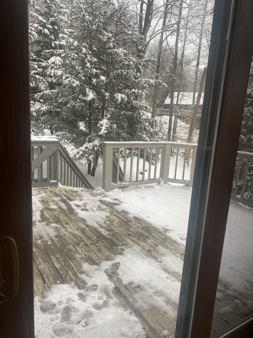 View to side yard
