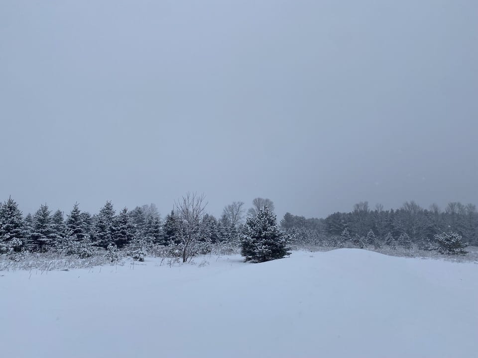 Beautiful winter view