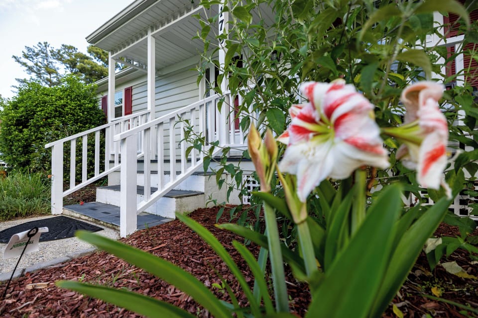 A view of the entry in the spring