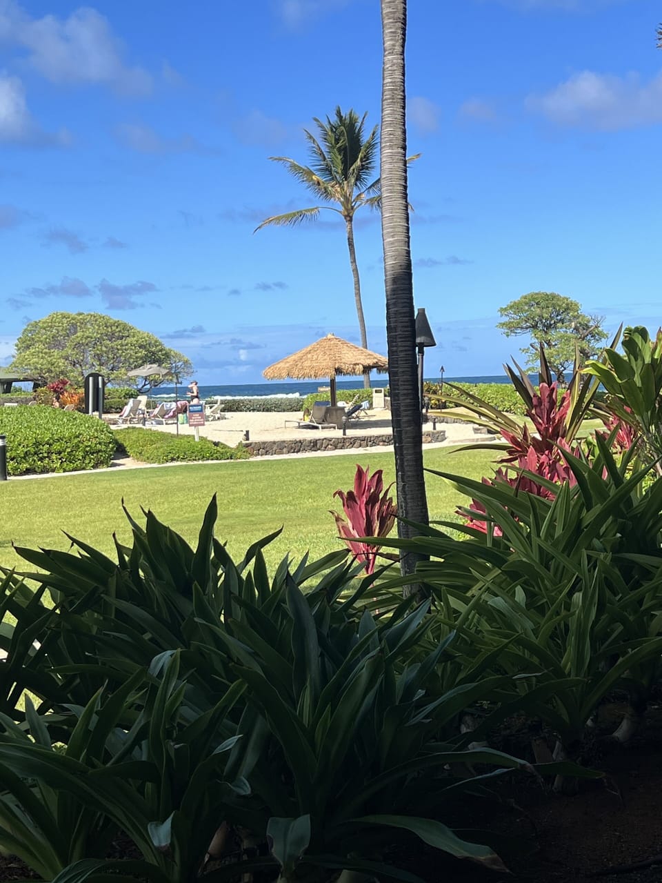 view from room/lanai