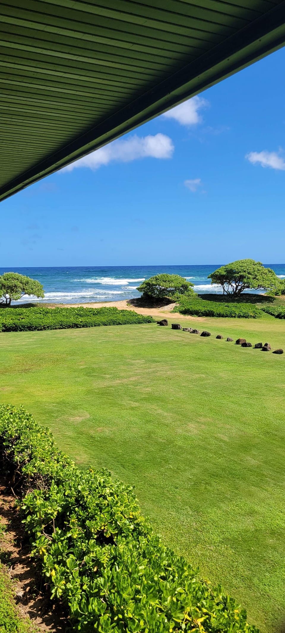 View from room 

