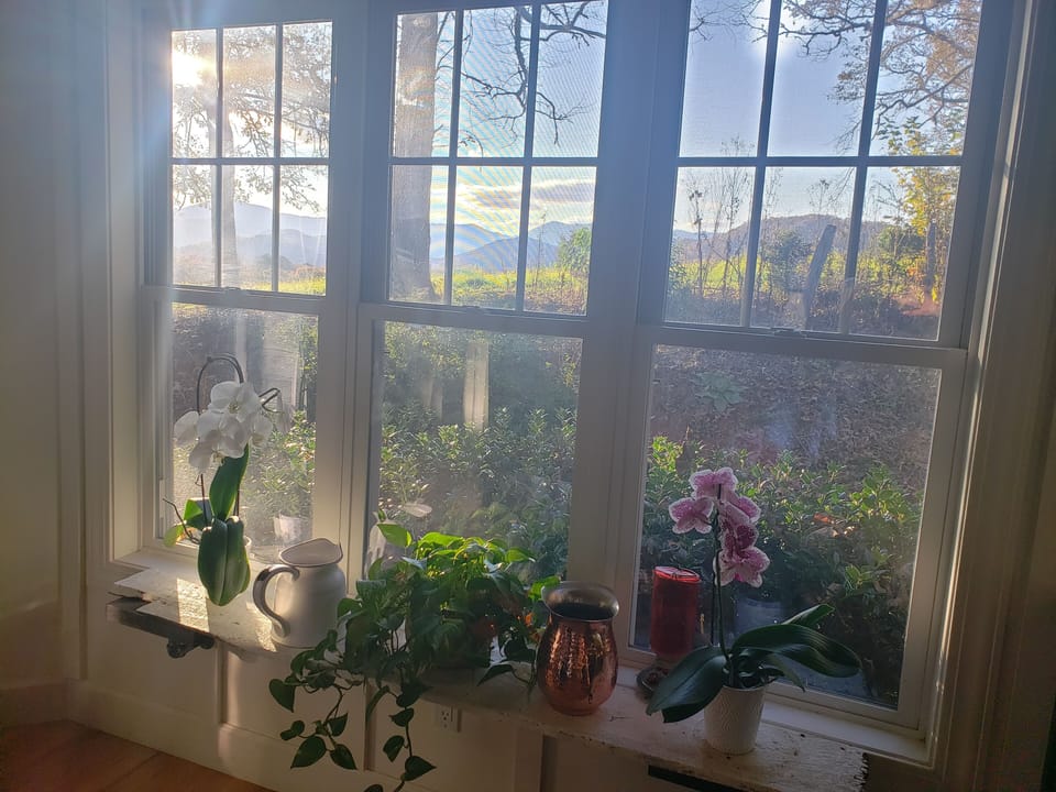 View from kitchen