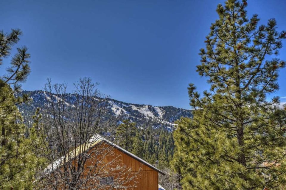 Big Bear is calling!