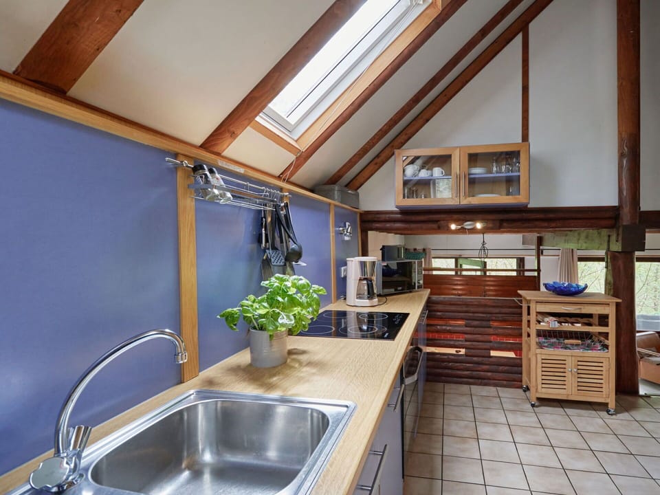 Kitchen Sink, Sink, Property, Plant, Cabinetry, Tap, Plumbing Fixture, Countertop, Building, Kitchen