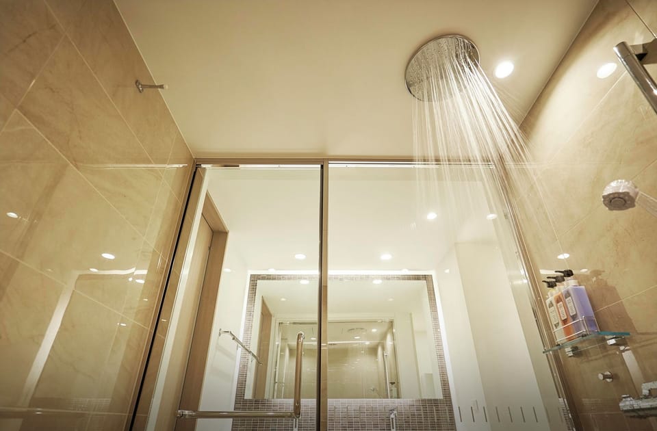 Free toiletries, hair dryer, slippers, electronic bidet